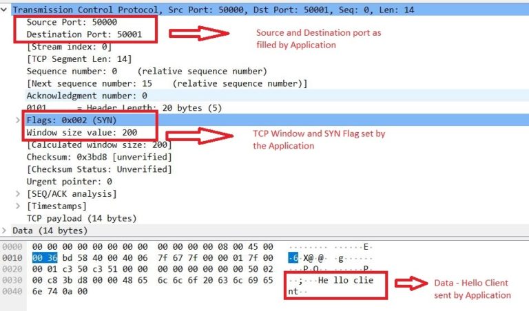 wireshark ip packet header